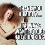 natural-hair-humidity-meme
